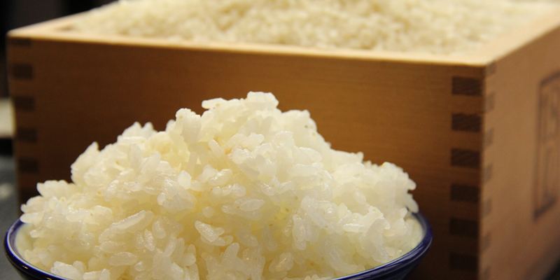 キヌヒカリの自家製米